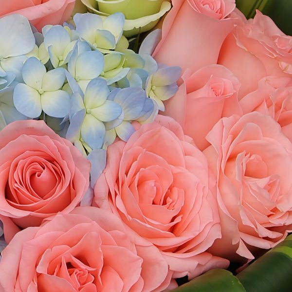 Togetherness - Pink roses and blue hydrangea bouquet