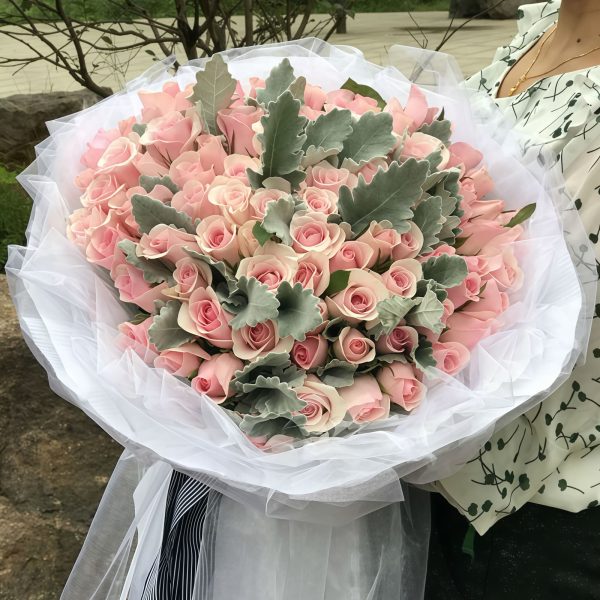 Pink Lady - 99 Pink Lady