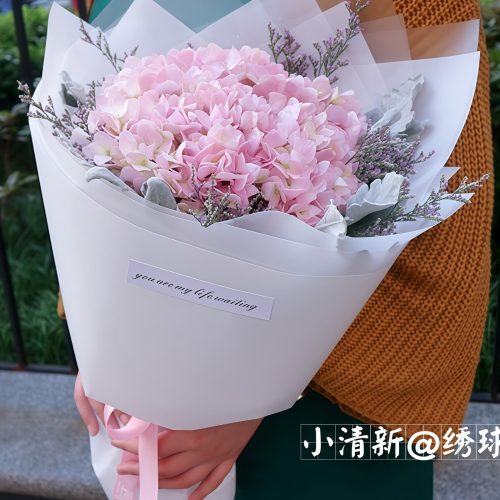 20180225175849490.jpg Reunion - Pink Hydrangea Bouquet