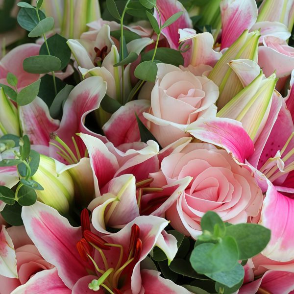 Qin Shi Li Ren Ming Yue Xin - Pink Lilies and Pink Roses