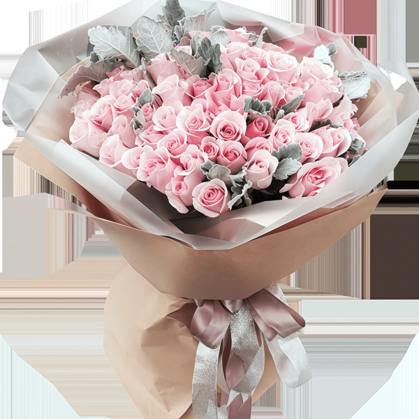 Strawberry Ice - Pink Snow Mountain with Silver Leaf Chrysanthemums