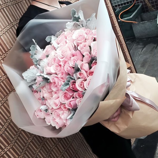 Strawberry Ice - Pink Snow Mountain with Silver Leaf Chrysanthemums