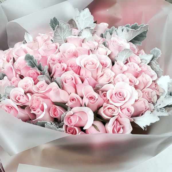 Strawberry Ice - Pink Snow Mountain with Silver Leaf Chrysanthemums