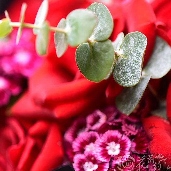 Unchanging Promise - Red Roses and Acacia Plums