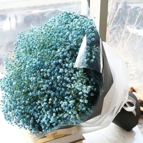 Love's Promise - Holland Imported Full Star