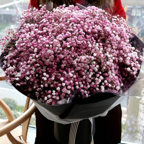 Blessing of the Heart - Holland Imported Manzanita