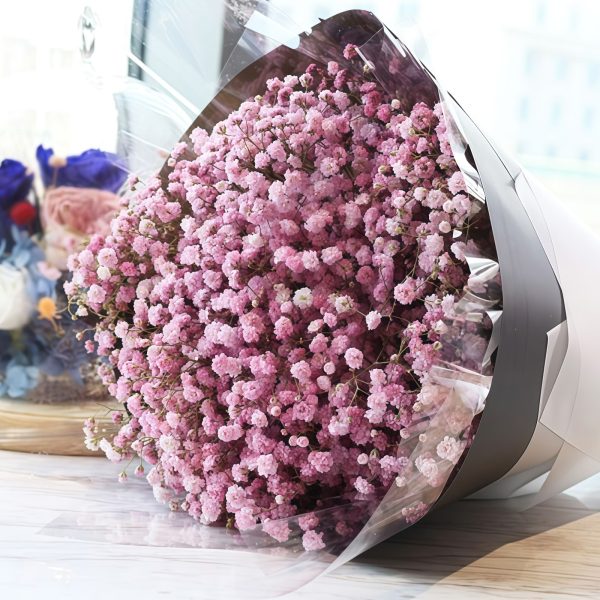 心靈的祝福 - 荷蘭進口的曼札尼塔 Blessing of the Heart - Holland Imported Manzanita