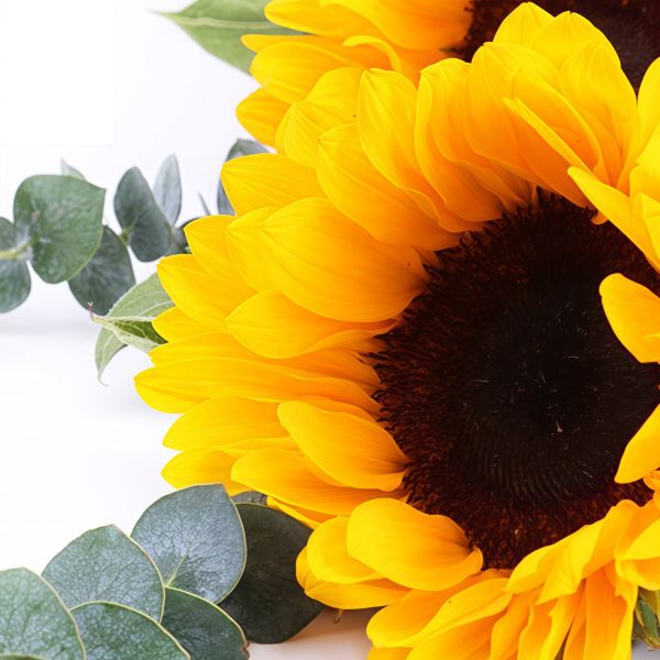 Happiness in Hand - Sunflower and Eucalyptus Hand Bouquet