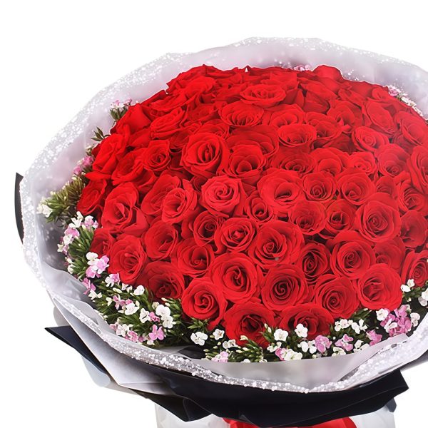 El Punto Más Alto del Amor - 99 Rosas Rojas - Ciruelas de Acacia Love's Highest Point - 99 Red Roses - Acacia Plums