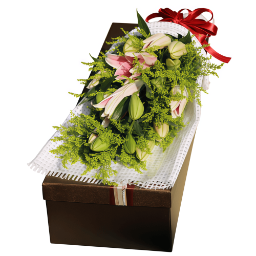 Hundred Years of Happiness - Pink Lily and Yellow Warbler