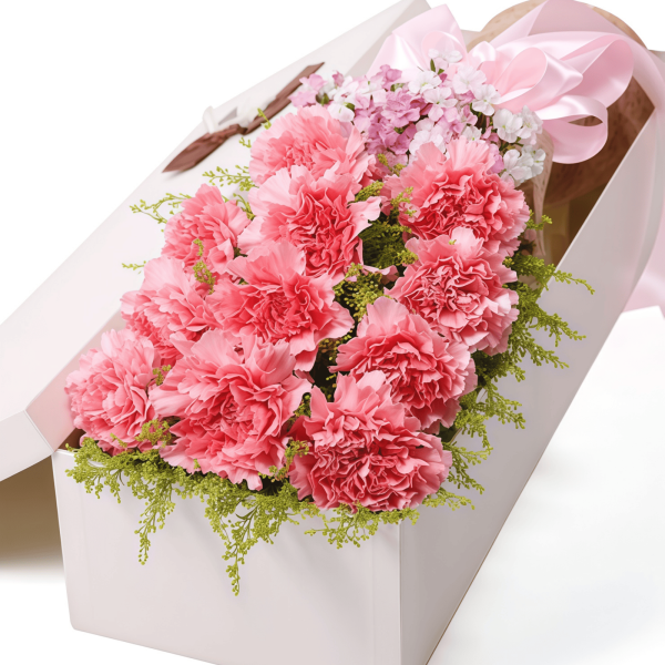 Carnation Gift Bouquet Carnation Gift Bouquet