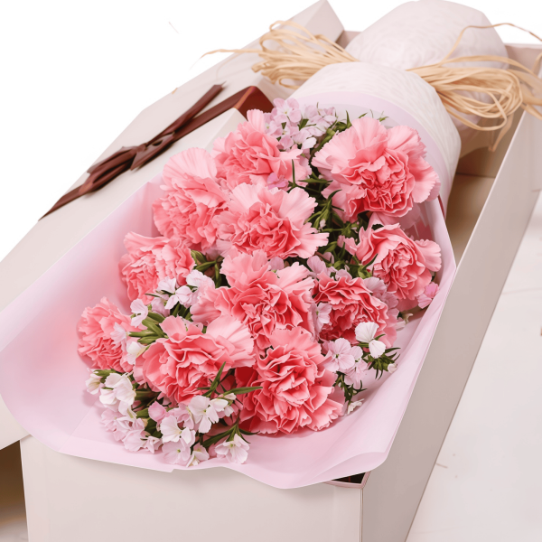 Carnation Gift Bouquet Carnation Gift Bouquet