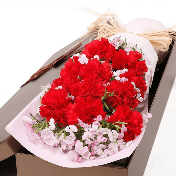 Carnation Gift Bouquet Carnation Gift Bouquet