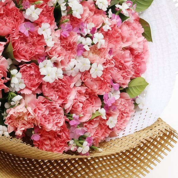 Ewige Liebe - Rosa Nelken und Dianthus-Pflaumen Eternal Love - Pink Carnations and Dianthus Plums