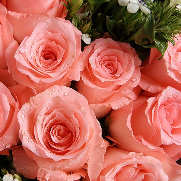 Junmai no Ai - Diana Pink Rose Bouquet Junmai no Ai - Diana Pink Rose Bouquet