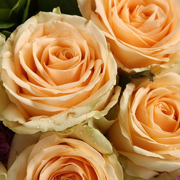 Love is like oxygen - Champagne Roses - Stems Bouquet Love is like oxygen - Champagne Roses - Stems Bouquet