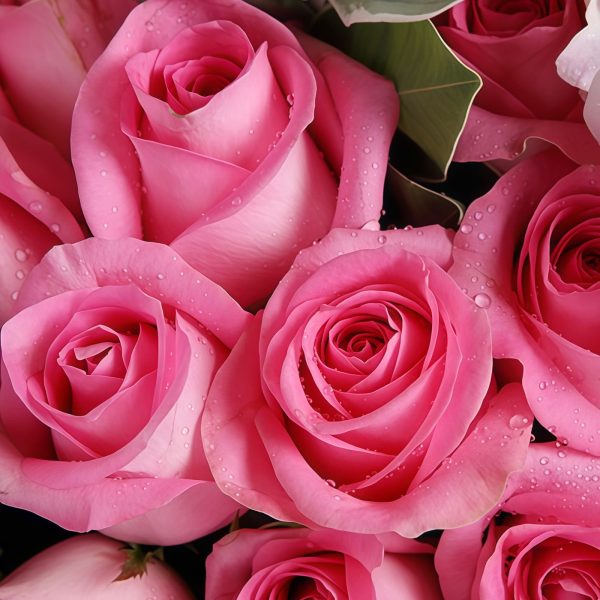 The Most Beautiful Melody - Pink Roses - Hydrangea Bouquet The Most Beautiful Melody - Pink Roses - Hydrangea Bouquet