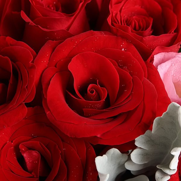 Muse - Red Roses - Eustoma Bouquet Muse - Red Roses - Eustoma Bouquet