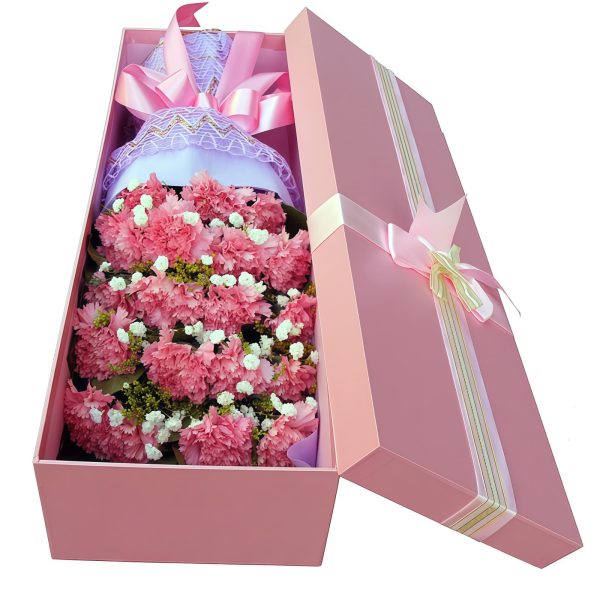 Hymn of Teacher's Love - Carnation and Starry Night Gift Set