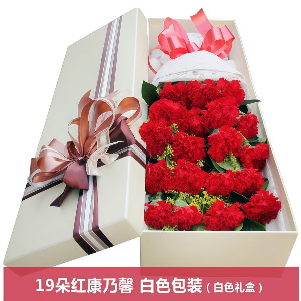Hymn of Teacher's Love - Carnation and Starry Night Gift Set