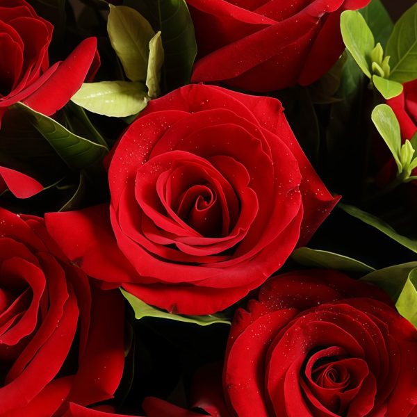 Goddess's Choice - 9 Red Roses Bouquet Goddess's Choice - 9 Red Roses Bouquet