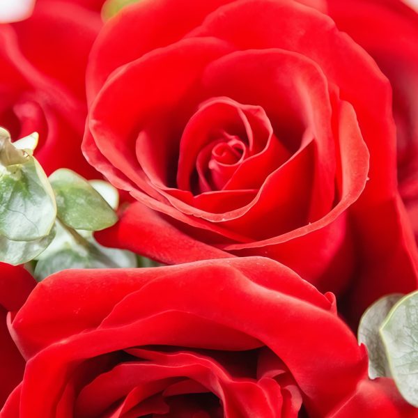 Love token - Red rose hand bouquet