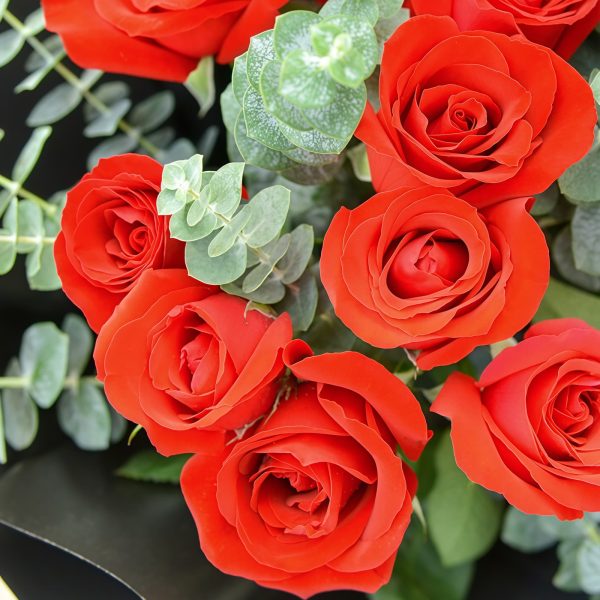 Happiness - 11 red roses bouquet